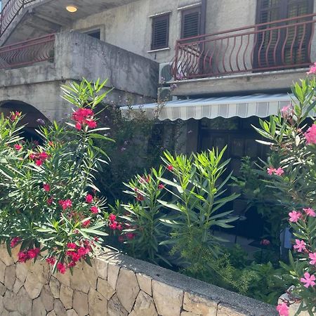 Guesthouse Klecak ツァヴタット エクステリア 写真